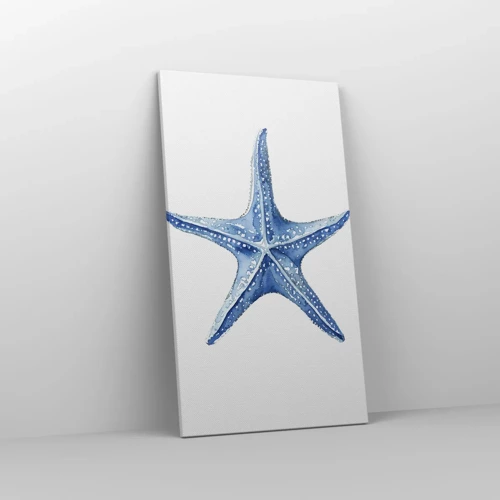 Lærredstryk - Billede på lærred - Havets stjerne - 45x80 cm