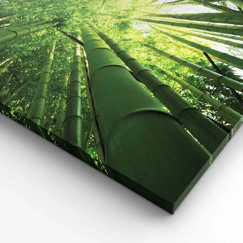 Lærredstryk - Billede på lærred - I en bambuslund - 100x40 cm