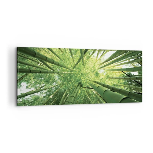 Lærredstryk - Billede på lærred - I en bambuslund - 120x50 cm