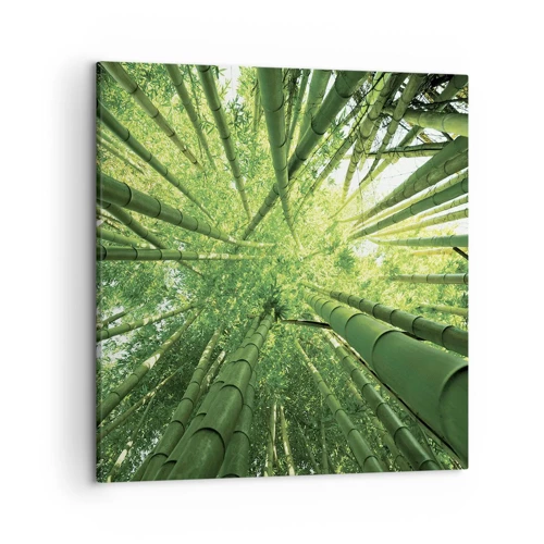 Lærredstryk - Billede på lærred - I en bambuslund - 50x50 cm