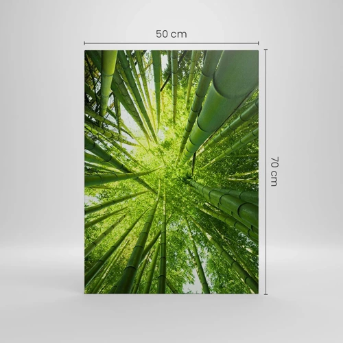 Lærredstryk - Billede på lærred - I en bambuslund - 50x70 cm