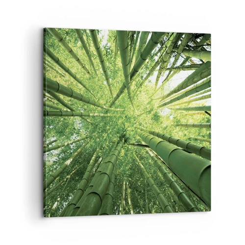 Lærredstryk - Billede på lærred - I en bambuslund - 60x60 cm