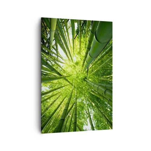 Lærredstryk - Billede på lærred - I en bambuslund - 70x100 cm