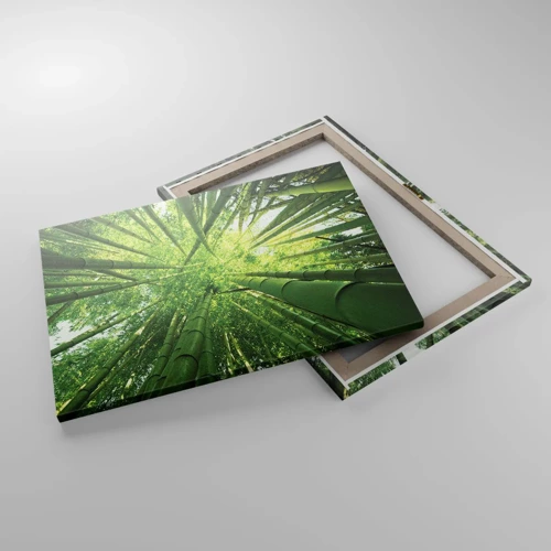 Lærredstryk - Billede på lærred - I en bambuslund - 70x50 cm