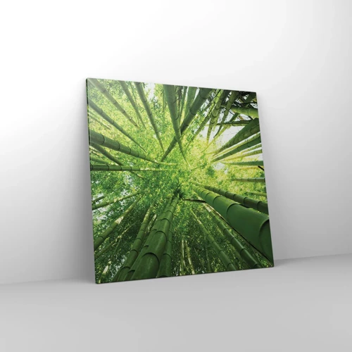 Lærredstryk - Billede på lærred - I en bambuslund - 70x70 cm