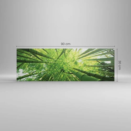 Lærredstryk - Billede på lærred - I en bambuslund - 90x30 cm