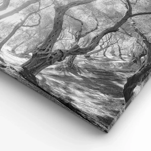 Lærredstryk - Billede på lærred - I en olivenlund - 30x30 cm