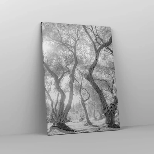 Lærredstryk - Billede på lærred - I en olivenlund - 50x70 cm
