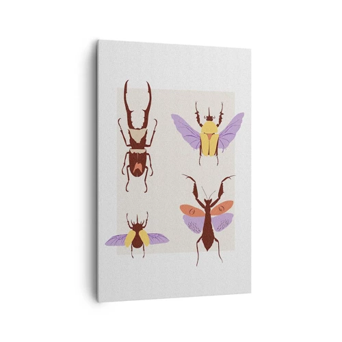 Lærredstryk - Billede på lærred - Insekternes verden - 80x120 cm