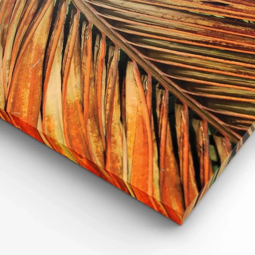 Lærredstryk - Billede på lærred - Kokosnød guld - 100x40 cm
