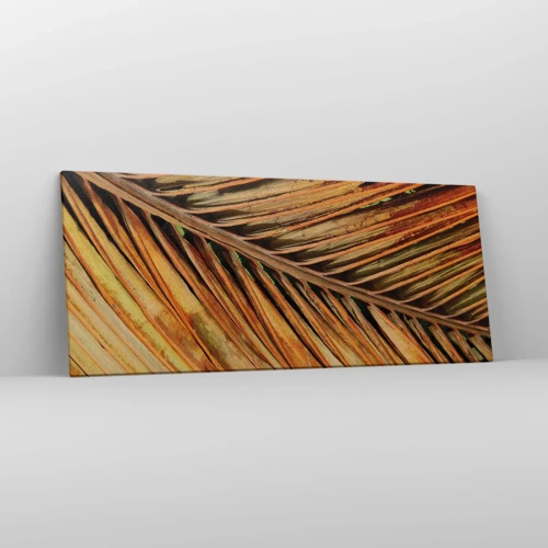 Lærredstryk - Billede på lærred - Kokosnød guld - 120x50 cm