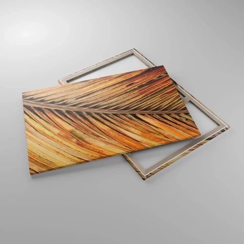 Lærredstryk - Billede på lærred - Kokosnød guld - 120x80 cm
