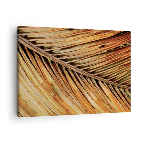 Lærredstryk - Billede på lærred - Kokosnød guld - 70x50 cm