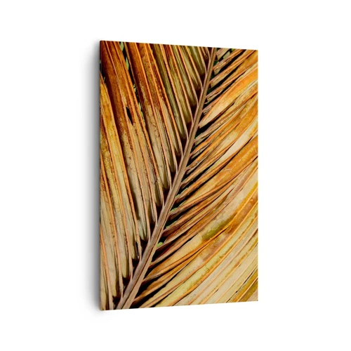 Lærredstryk - Billede på lærred - Kokosnød guld - 80x120 cm
