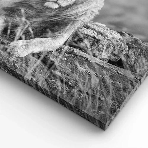 Lærredstryk - Billede på lærred - Kongelig siesta - 40x40 cm