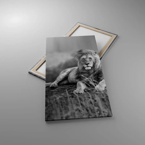 Lærredstryk - Billede på lærred - Kongelig siesta - 65x120 cm