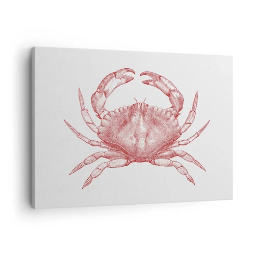 Lærredstryk - Billede på lærred - Krabbe over krabber - 70x50 cm