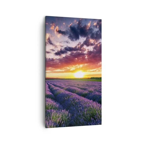 Lærredstryk - Billede på lærred - Lavendelverden - 45x80 cm