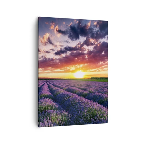 Lærredstryk - Billede på lærred - Lavendelverden - 50x70 cm