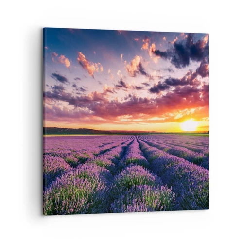 Lærredstryk - Billede på lærred - Lavendelverden - 60x60 cm