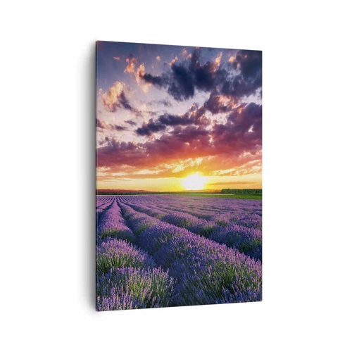 Lærredstryk - Billede på lærred - Lavendelverden - 70x100 cm