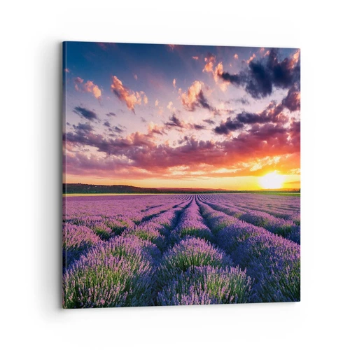 Lærredstryk - Billede på lærred - Lavendelverden - 70x70 cm