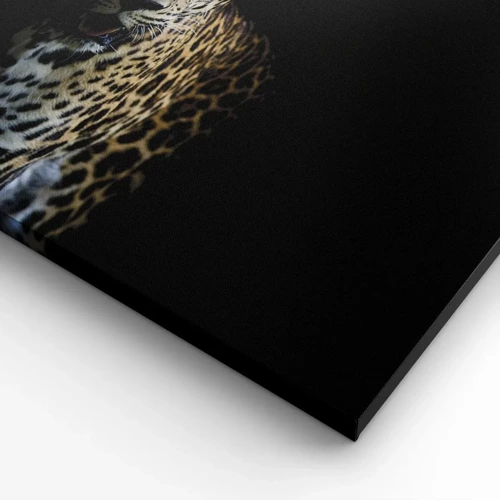 Lærredstryk - Billede på lærred - Mørk skønhed - 70x50 cm