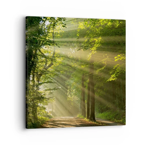Lærredstryk - Billede på lærred - Øjeblik i skoven - 30x30 cm