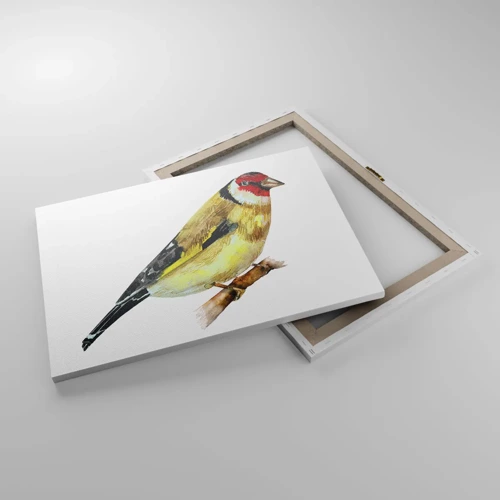 Lærredstryk - Billede på lærred - Portræt af en fugl - 70x50 cm