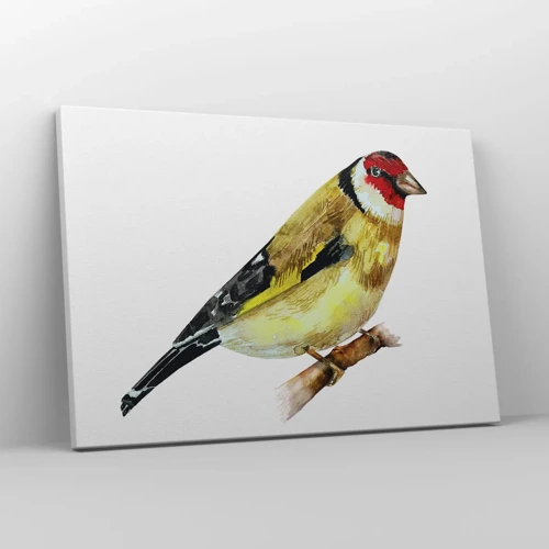 Lærredstryk - Billede på lærred - Portræt af en fugl - 70x50 cm