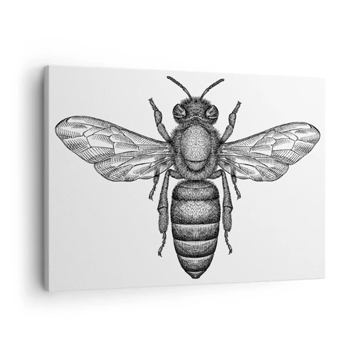 Lærredstryk - Billede på lærred - Portræt af et insekt - 70x50 cm