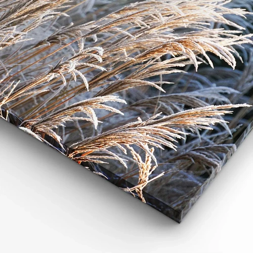 Lærredstryk - Billede på lærred - Pyntet med frost - 160x50 cm
