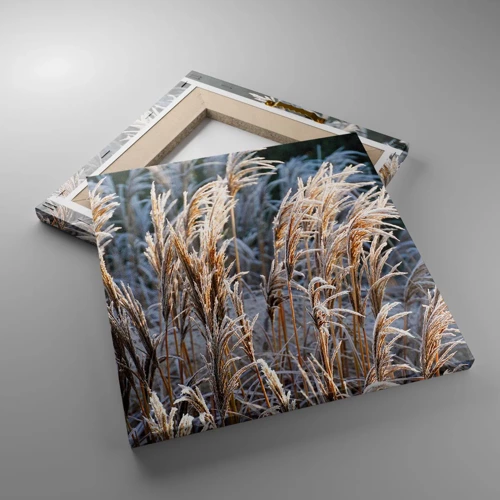 Lærredstryk - Billede på lærred - Pyntet med frost - 30x30 cm