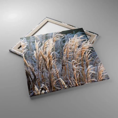 Lærredstryk - Billede på lærred - Pyntet med frost - 70x70 cm