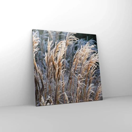 Lærredstryk - Billede på lærred - Pyntet med frost - 70x70 cm