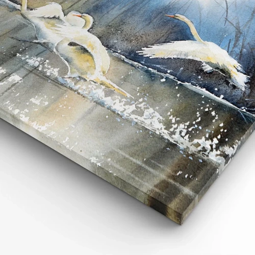 Lærredstryk - Billede på lærred - Som i en fortælling om vilde svaner - 70x70 cm