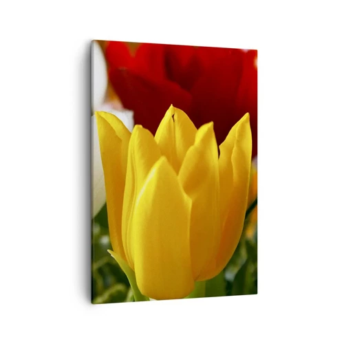 Lærredstryk - Billede på lærred - Tulipanfeber - 50x70 cm