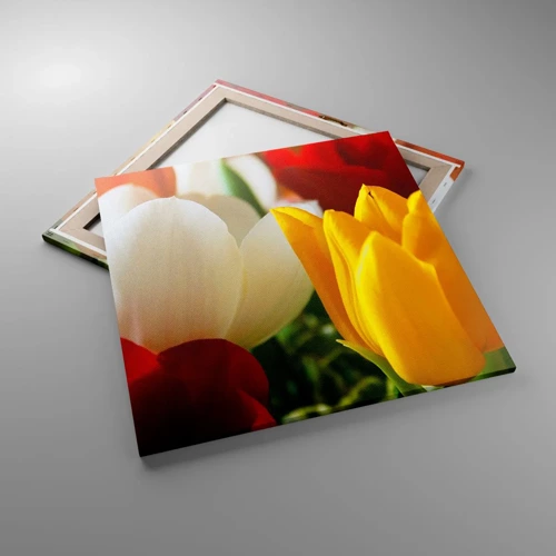 Lærredstryk - Billede på lærred - Tulipanfeber - 70x70 cm