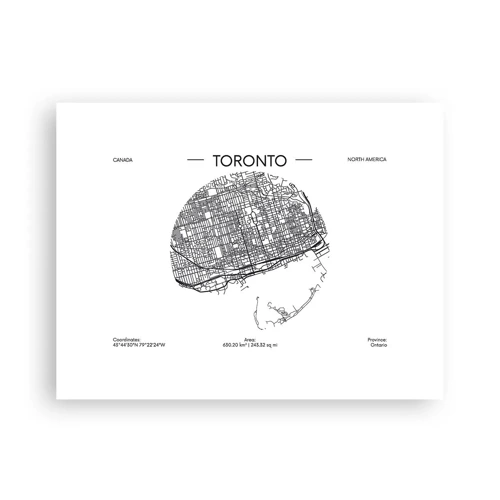 Plakat - Anatomi af Toronto - 40x30 cm