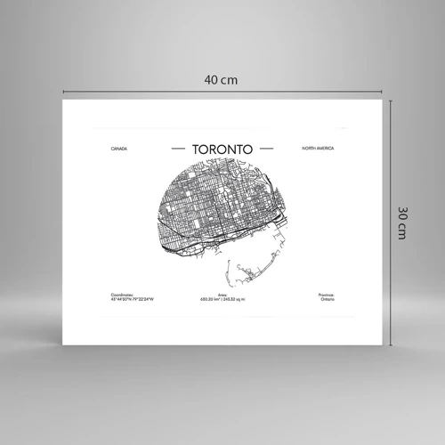 Plakat - Anatomi af Toronto - 40x30 cm