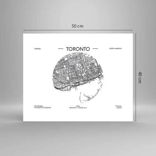 Plakat - Anatomi af Toronto - 50x40 cm