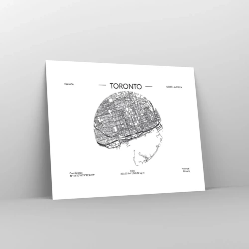 Plakat - Anatomi af Toronto - 50x40 cm