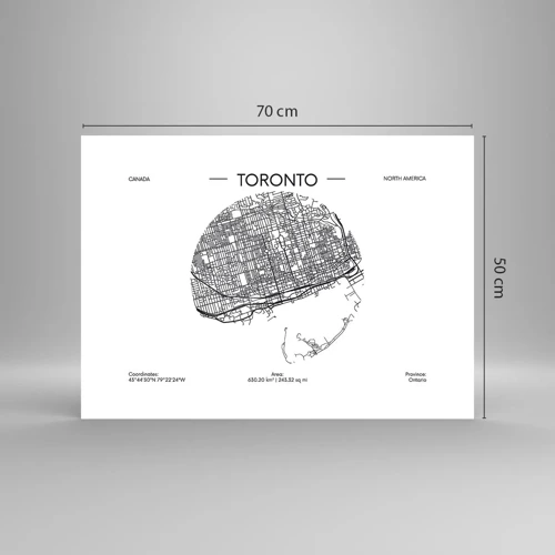 Plakat - Anatomi af Toronto - 70x50 cm