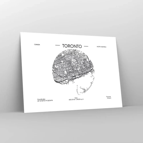 Plakat - Anatomi af Toronto - 70x50 cm