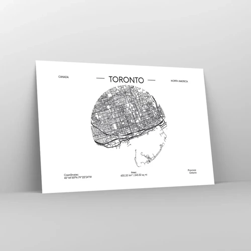 Plakat - Anatomi af Toronto - 91x61 cm