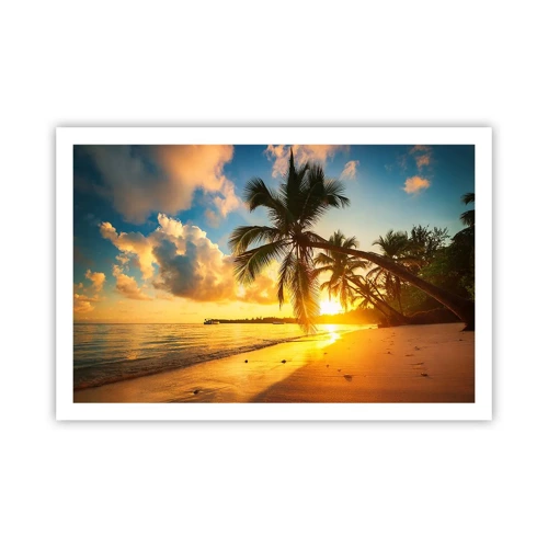 Plakat - Caribisk drøm - 91x61 cm