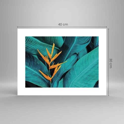 Plakat - Edens blomst - 40x30 cm