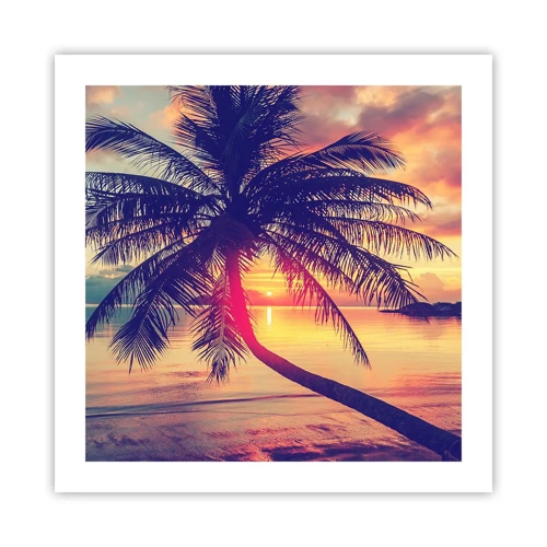 Plakat - En aften under palmerne - 50x50 cm