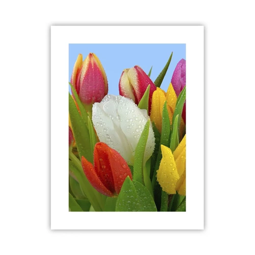 Plakat - En blomstret regnbue i dugdråber - 30x40 cm