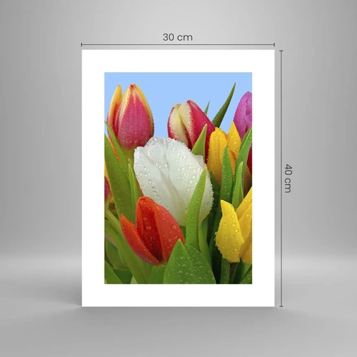 Plakat - En blomstret regnbue i dugdråber - 30x40 cm